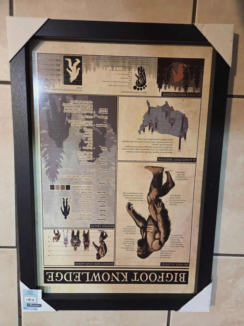 Unknown Brand Bigfoot Knowledge Wall Art in Black